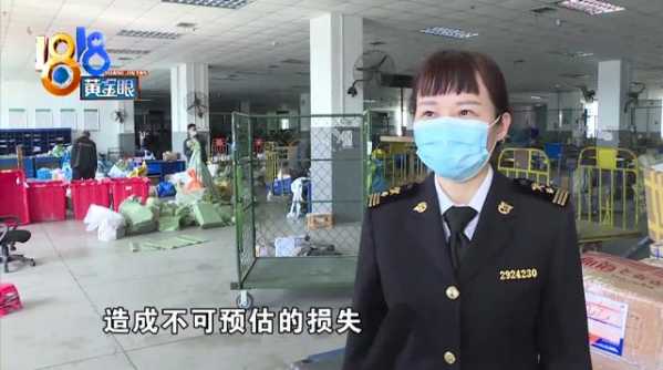 海关工作犬立大功！50只活的“招财蛙”混在玩具里被闻了出来-8.jpg
