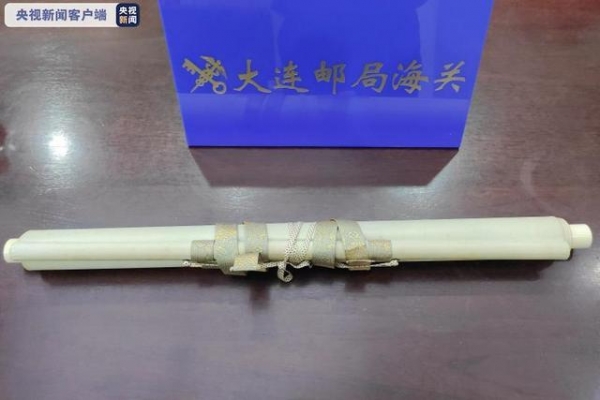 保护濒危野生动物！大连邮局海关截获象牙画轴-2.jpg