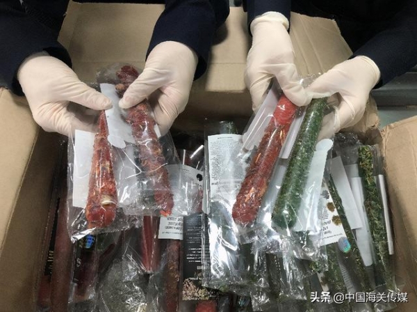 进境“礼物”邮件藏罂粟种子、有害生物豚草-1.jpg