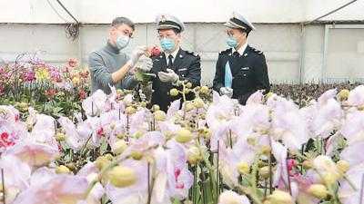 经拱北海关对澳进出口总值累计逾2900亿元-1.jpg