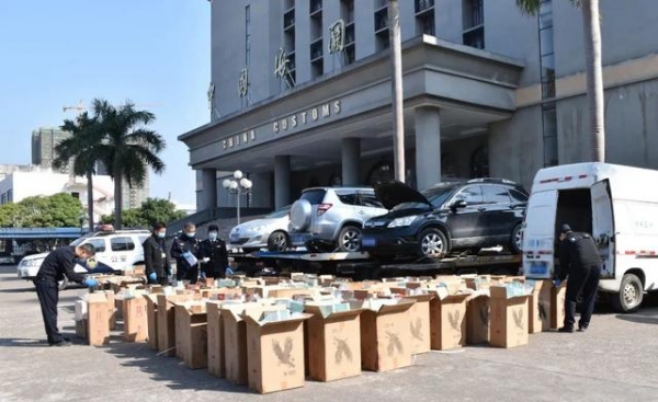 钦州海关查获涉嫌走私香烟168万支，抓获涉案人员1名-1.jpg