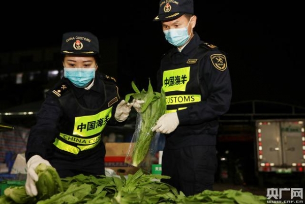 今年前11月经拱北海关对澳门出口鲜活产品达13.5万吨-2.jpg