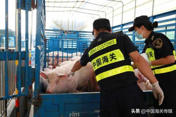 澳门回归21年 经拱北海关对澳进出口总值累计突破2900亿元-3.jpg