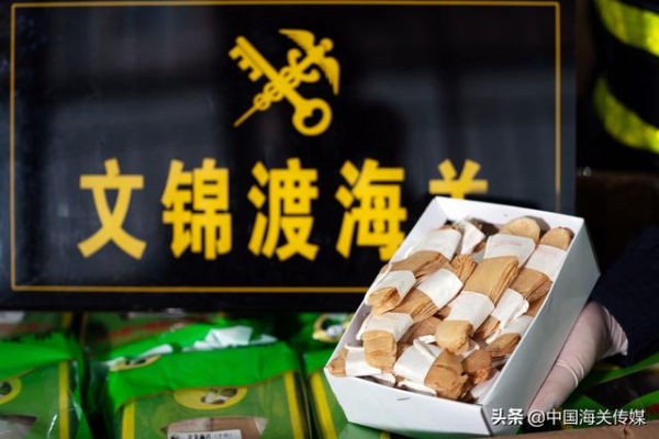 未经申报擅自出口是不允许的，濒危野生植物制品更不行-1.jpg