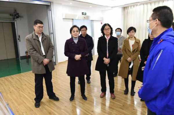自治区台办主任李莉到凭祥调研-1.jpg