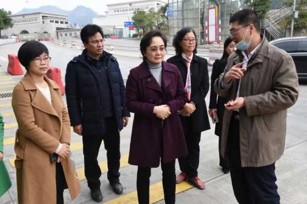 自治区台办主任李莉到凭祥调研-2.jpg