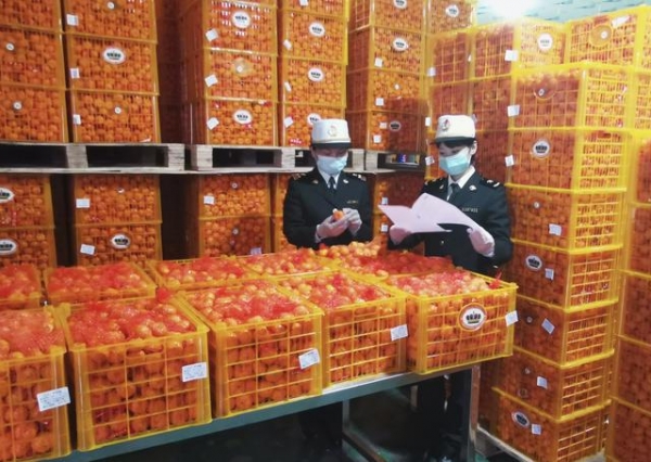 深圳海关助出口水果香飘“一带一路”-1.jpg