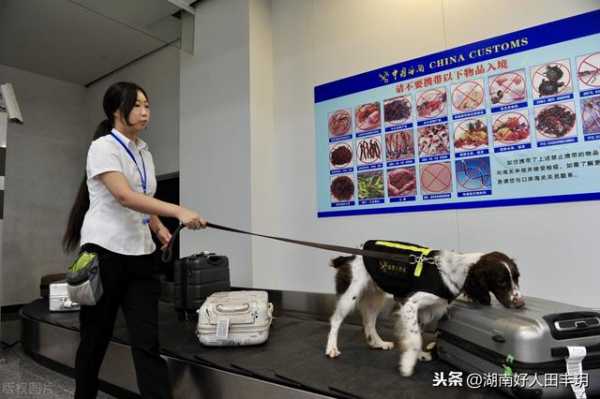 96分仍不能通过海关AEO认证，为什么？企业通过的条件是什么-2.jpg