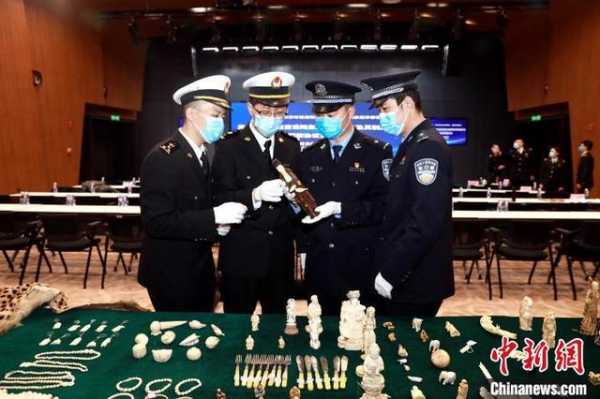天津海关移交1724件执法查没陆生野生动植物及其制品-1.jpg