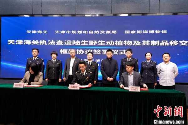 天津海关移交1724件执法查没陆生野生动植物及其制品-2.jpg