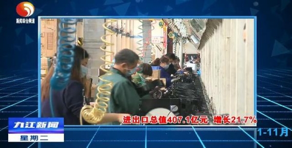 前11个月九江市进出口增长近两成-1.jpg