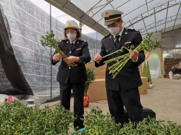 解读 | 种苗花卉出口那些事-6.jpg
