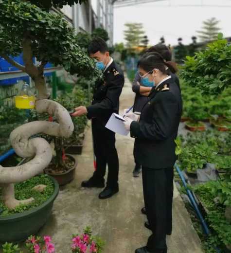 解读 | 种苗花卉出口那些事-7.jpg