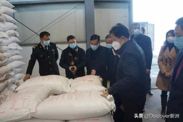 新洲阳逻港粮食保税加工项目开工-4.jpg