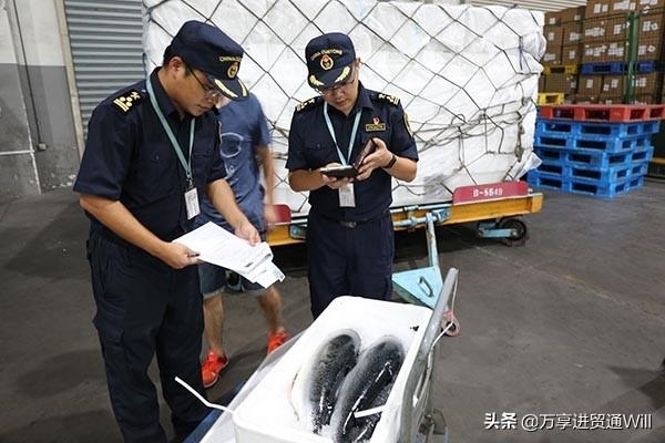 进贸通冰鲜金枪鱼进口报关案例-1.jpg