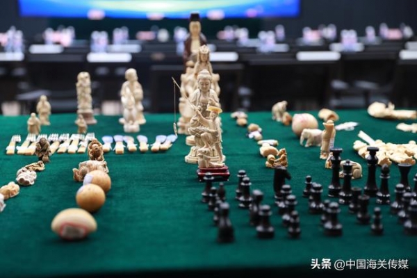 天津海关向国家海洋博物馆移交1724件野生动物及其制品-1.jpg