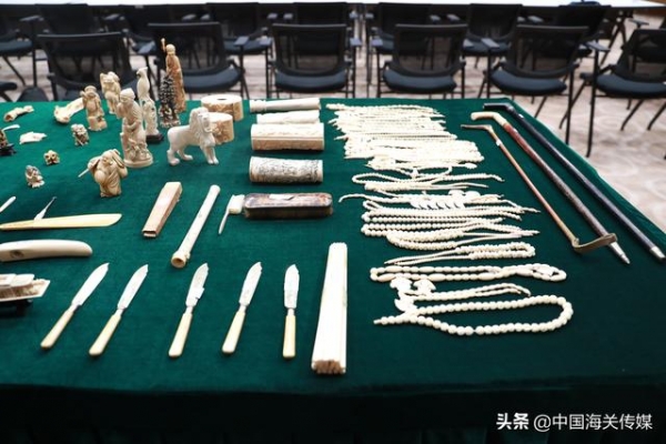 天津海关向国家海洋博物馆移交1724件野生动物及其制品-2.jpg
