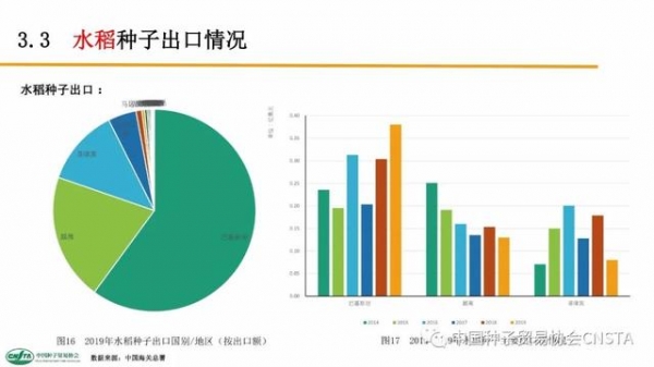 这类种子年进口额超2亿美元！中国农作物种子进出口数据分析-22.jpg