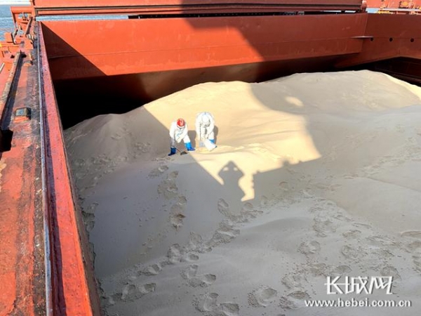 最“甜蜜”的守护——石家庄海关高效监管助力原糖进境-1.jpg