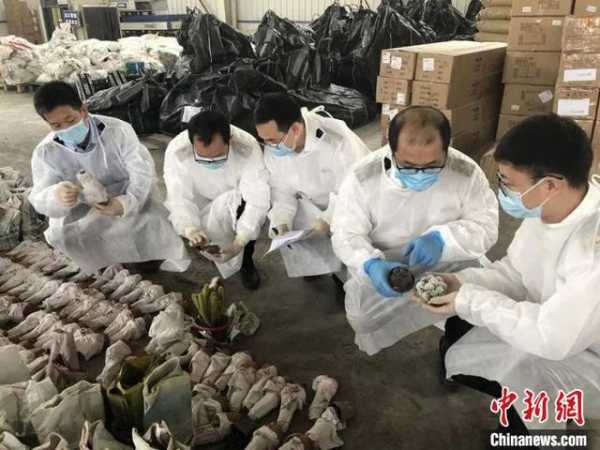 南宁海关缉私“百日会战”查办案件逾千起 案值25亿元-1.jpg