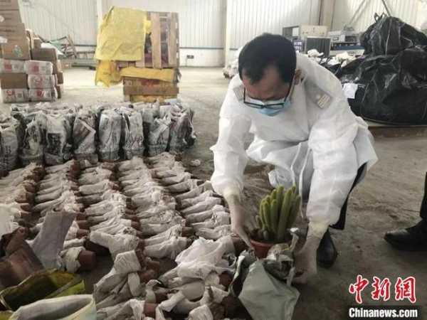 南宁海关缉私“百日会战”查办案件逾千起 案值25亿元-2.jpg