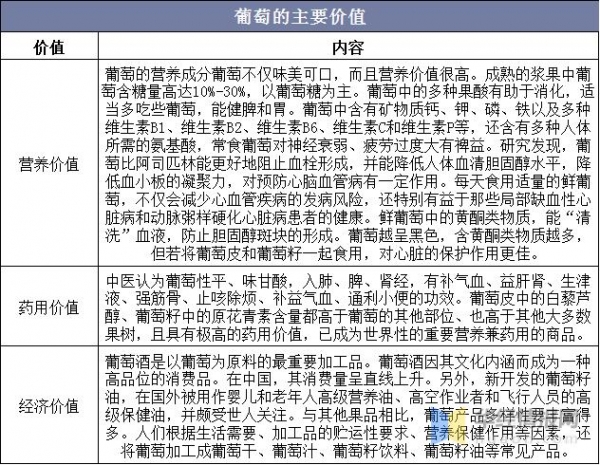 2020年中国葡萄产量及进出口情况分析，冬季防冻尤为重要-1.jpg