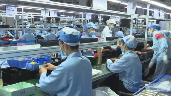 1-11月，钦州累计外贸进出口总值203.6亿元-1.jpg