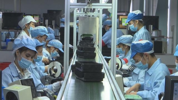 1-11月，钦州累计外贸进出口总值203.6亿元-2.jpg