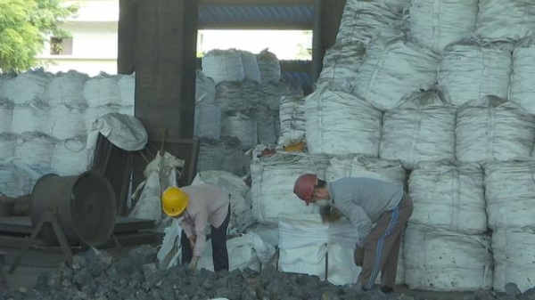 1-11月，钦州累计外贸进出口总值203.6亿元-6.jpg