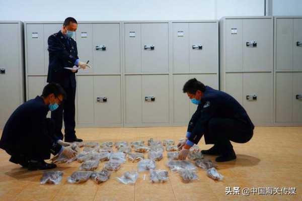 满洲里海关查获走私高鼻羚羊角179根，高鼻羚羊是国家一级保护动物，存世稀少-1.jpg