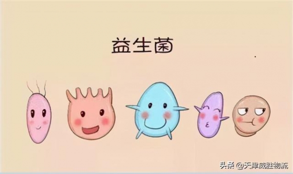 益生菌进口清关报关手续流程-1.jpg