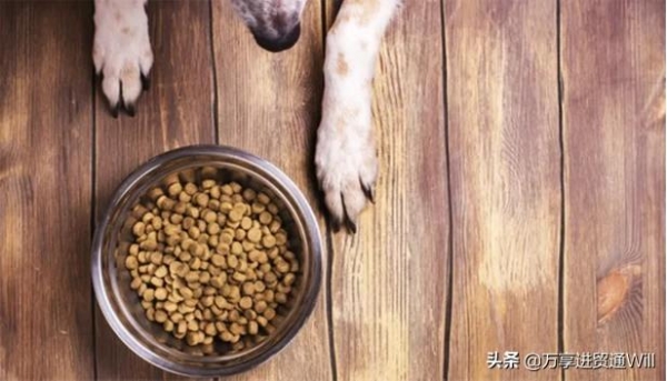 宠物食品进口报关如何申报？-1.jpg
