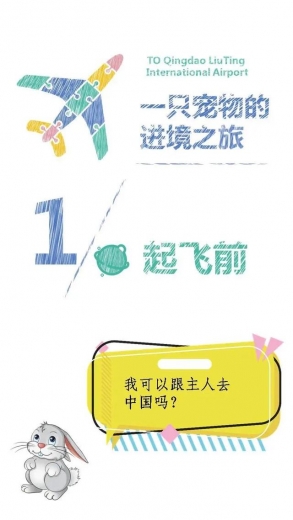 一只宠物的进境之旅-2.jpg