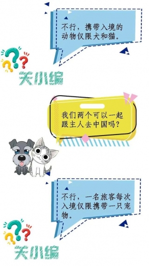 一只宠物的进境之旅-3.jpg