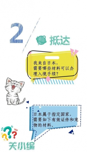 一只宠物的进境之旅-4.jpg