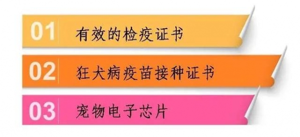 一只宠物的进境之旅-5.jpg