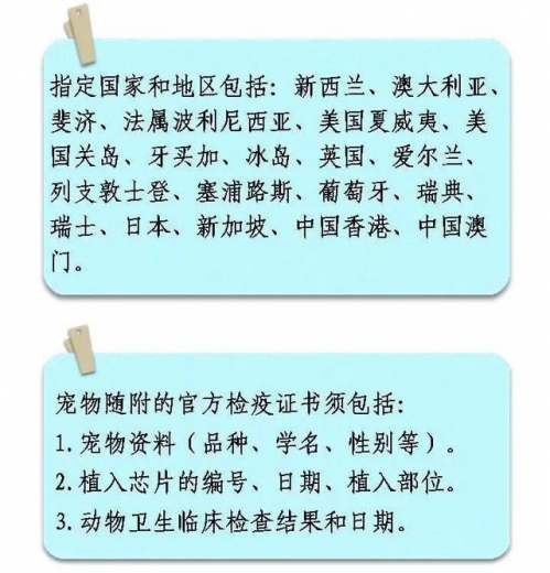 一只宠物的进境之旅-6.jpg