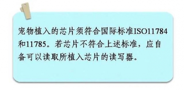 一只宠物的进境之旅-7.jpg