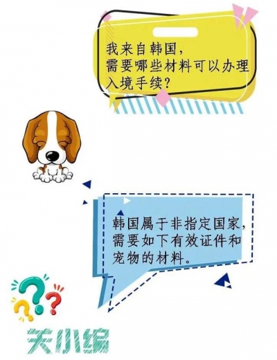 一只宠物的进境之旅-8.jpg