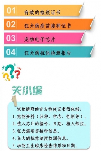 一只宠物的进境之旅-9.jpg