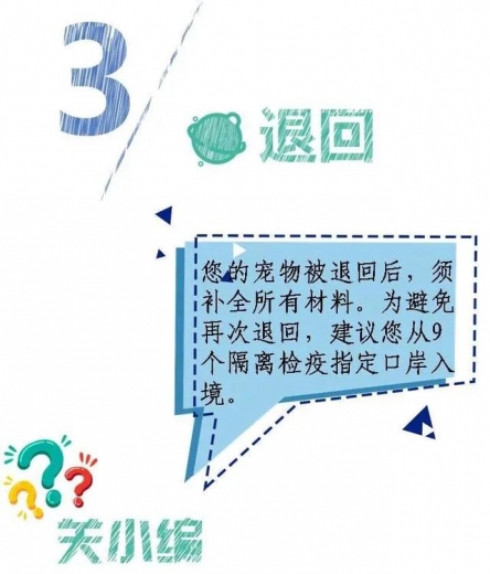 一只宠物的进境之旅-14.jpg