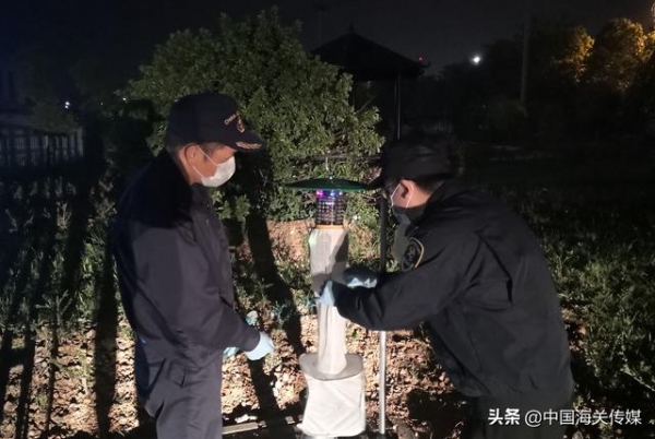 合肥海关累计捕获病媒生物17.7万只-1.jpg
