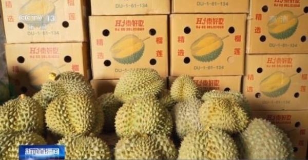 案值6.6亿元！南宁海关侦破一起特大走私水果案-4.jpg
