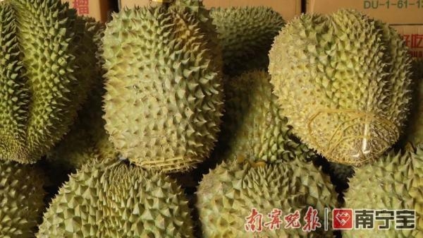 案值6.6亿元！桂粤海关联手破获走私榴莲大案-1.jpg