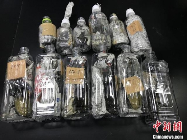 小邮包里藏“异宠”广州海关查获12只活体长戟犀金龟-2.jpg
