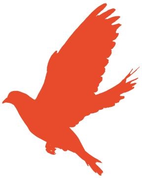 湾畔直播间 | 十九届五中全会还能这么学-6.jpg