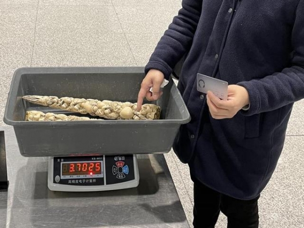 防控疫情、打击走私两不误！有人走私象牙，海关当场查获-2.jpg