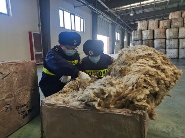 构建新发展格局 实行高水平对外开放-21.jpg