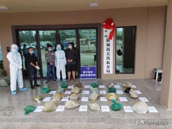 2020年海关打击走私典型案例公布 涉穿山甲、钻石等-1.jpg