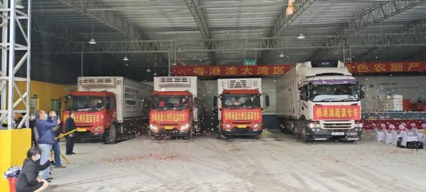 大西南农产品进出口服务平台成立，怀集成为粤港澳大湾区“菜篮子”-1.jpg